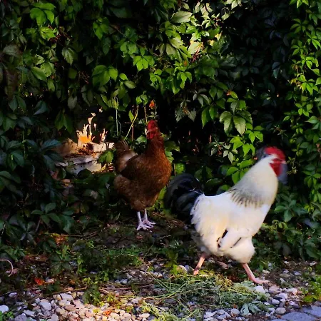 Séjour chez l'habitant Agroturystyka Przysiolek Trzonki Pisz