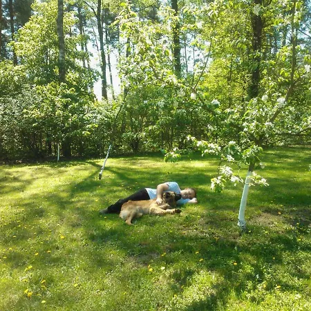 Agroturystyka Przysiolek Trzonki Séjour chez l'habitant Pisz