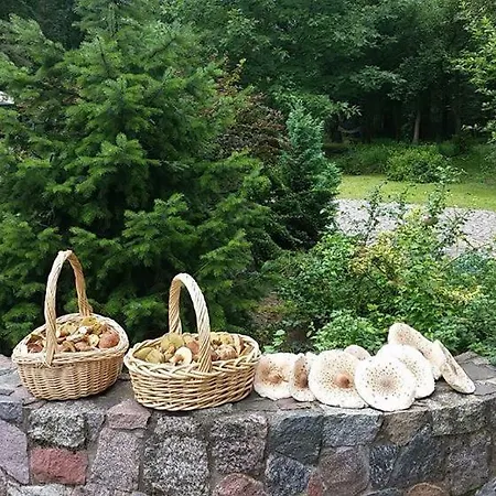 Agroturystyka Przysiolek Trzonki Pisz